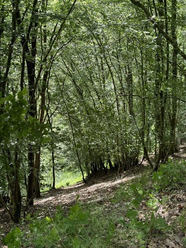 HeimatSpur Zwei-Täler-Weg