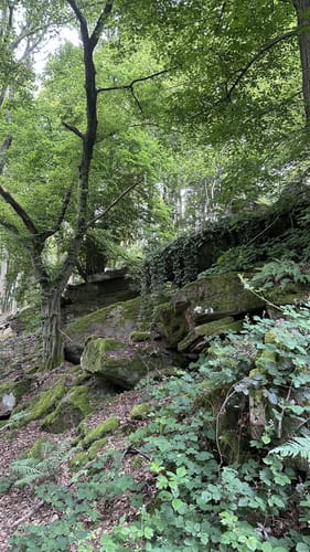 Großheubach Rundwanderweg 3