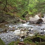 Sentiero delle cascate via Ponte Sant'Anna: 25 foto's - Emilia-Romagna ...