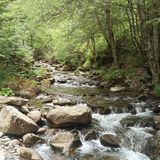 Sentiero delle cascate via Ponte Sant'Anna: 25 foto's - Emilia-Romagna ...