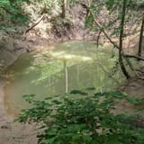 Cedar Sink Trail, Kentucky - 1,028 Reviews, Map | AllTrails