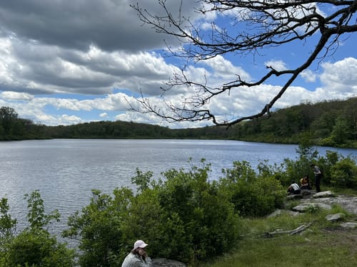 Photos of Lake Skenonto via Victory Trail New York AllTrails