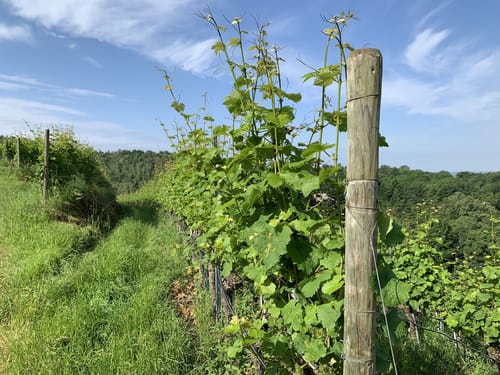 Rund um Herztal und St. Wendelins Kapelle