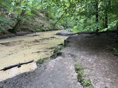 Rundweg durch die Moosheide