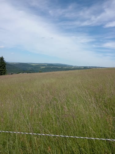 Fünf-Täler-Tour (Traumschleife)