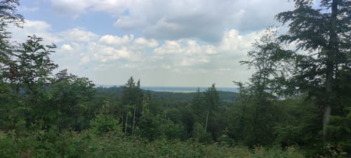 Limberg-Nonnenstein-Weg