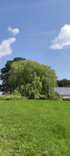 Limberg-Nonnenstein-Weg