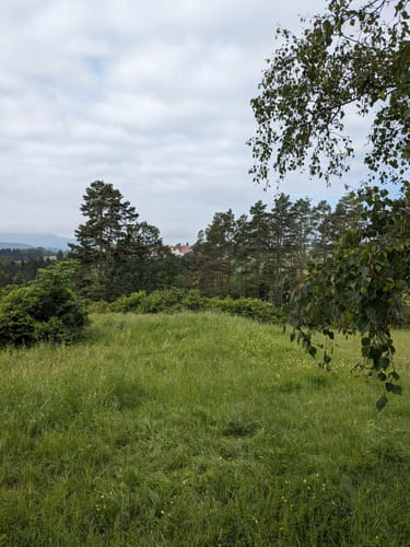 Über Beurener Heide und Dreifürstenstein