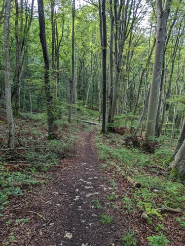 Über Beurener Heide und Dreifürstenstein