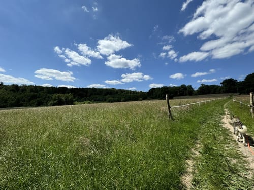 Zum Rabengrund
