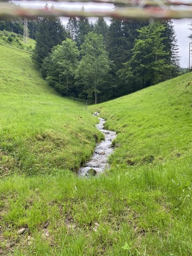 Panoramaweg Mühlenbach - Große Runde