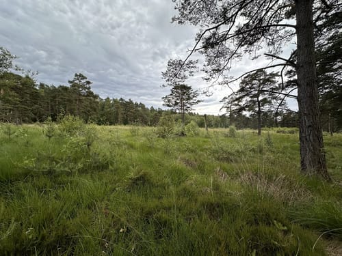 Um Wildgehege und Schnaakenmoor