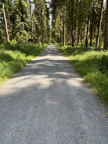 Talsperre Muldenberg