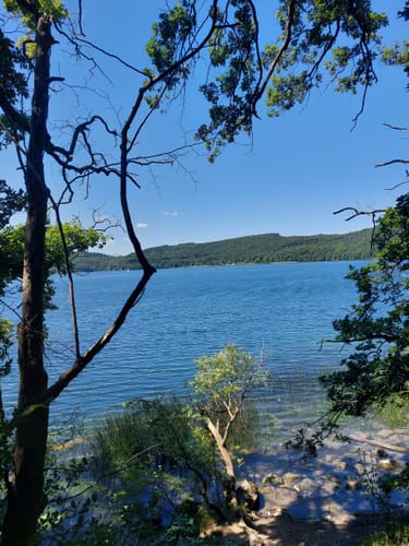 Laacher See Rundweg (Nickenich NI5)