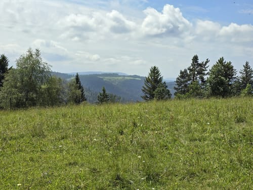 Bosensteiner Almpfad (Genießerpfad)