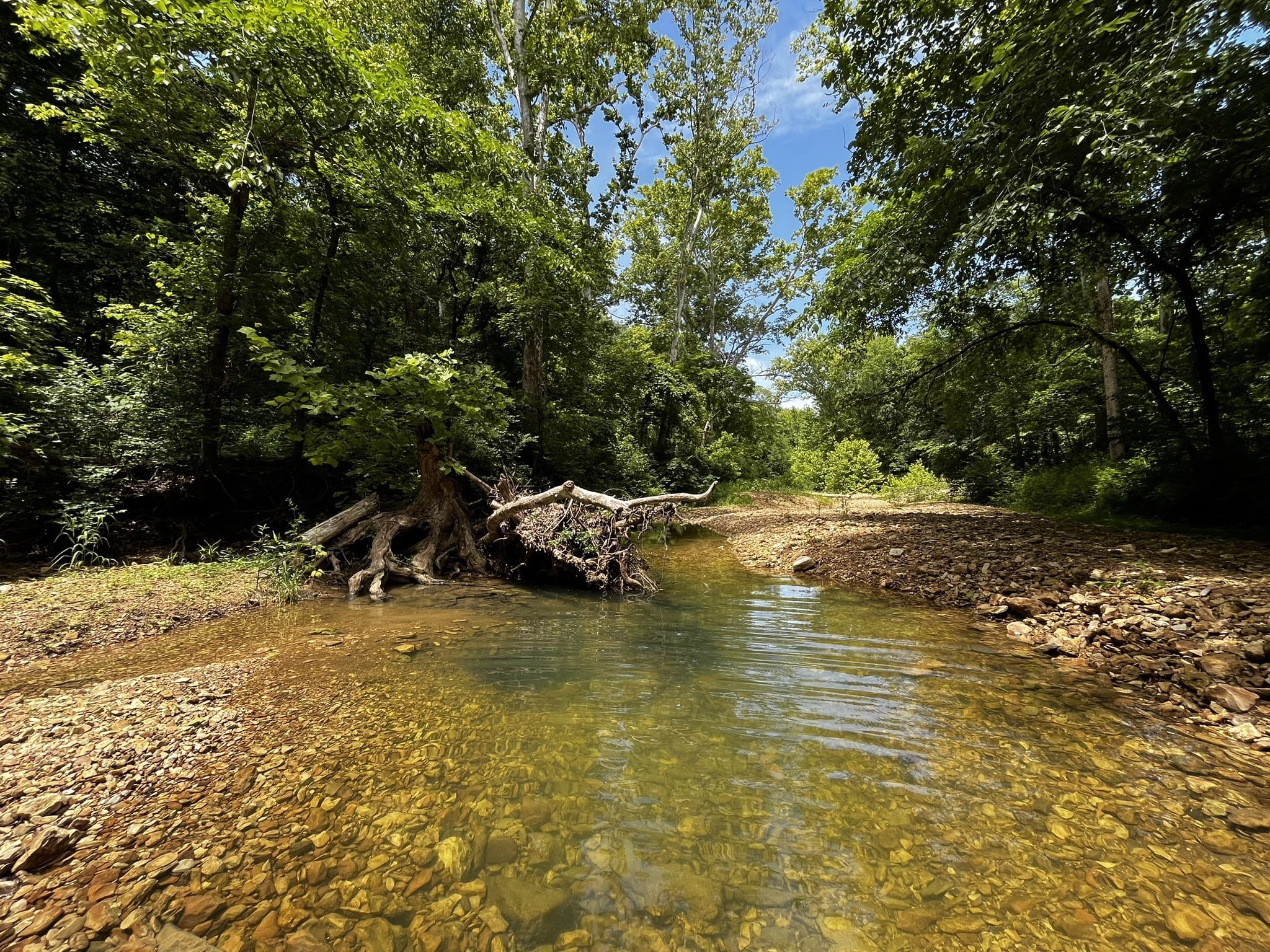 Photos of Reifsnider Missouri Conservation Area, Missouri trails 