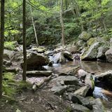 Seven Tubs Loop, Pennsylvania - 306 Reviews, Map | AllTrails