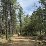 Balancing Rock Trail, Arizona - 656 Reviews, Map | AllTrails