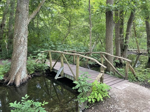 Summter See - Tegeler Fließtal