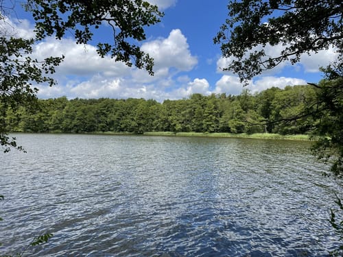 Summter See - Tegeler Fließtal
