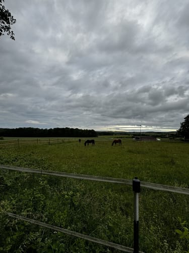 Rund um den Monheimer Weiher