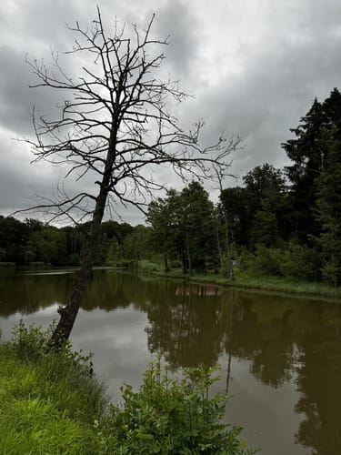 Rund um den Monheimer Weiher