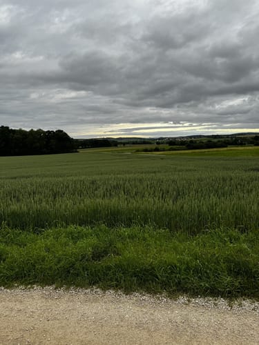Rund um den Monheimer Weiher