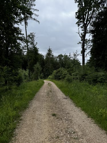 Rund um den Monheimer Weiher