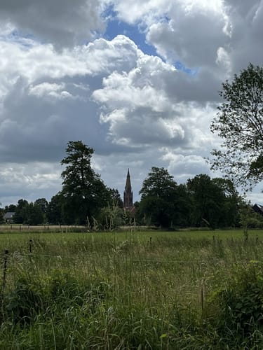 S1 Ufer-Moorwiesenweg (Steinhuder Rundweg)