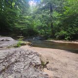 Laurel Falls Loop Trail, Tennessee - 333 Reviews, Map | AllTrails