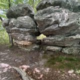 Sand Cave and White Rocks via Ewing Trail, Virginia - 1,223 Reviews ...