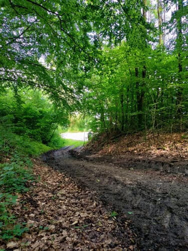 Schluchtenpfad Sinspelt(NaturWanderPark delux)