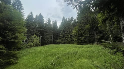 Ostweg Etappe 5: Ödenwald - Aichhalden