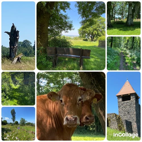 Premiumwanderweg: WeitblickTour Ulrichstein