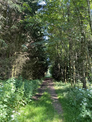 Premiumwanderweg: WeitblickTour Ulrichstein