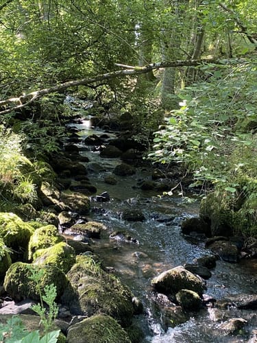 Premiumwanderweg: WeitblickTour Ulrichstein