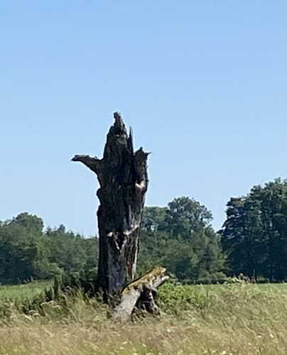 Premiumwanderweg: WeitblickTour Ulrichstein