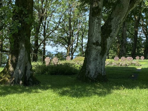 Premiumwanderweg: WeitblickTour Ulrichstein
