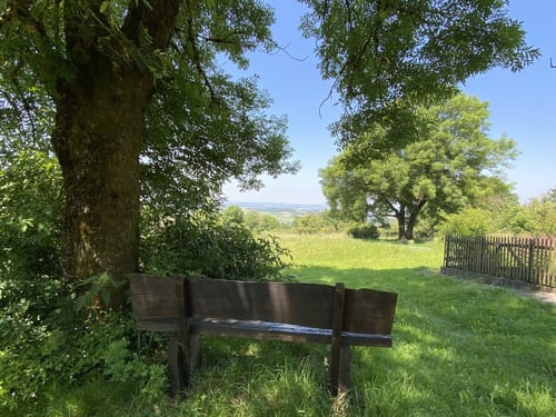 Premiumwanderweg: WeitblickTour Ulrichstein