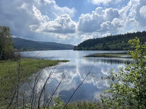Schluchtensteig Etappe 4: Fischbach - St. Blasien