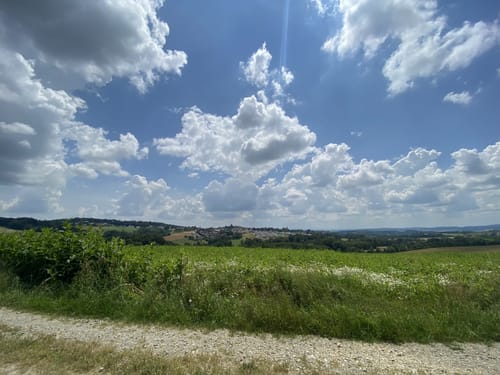 Bad Griesbach im Rottal: Grieskirchner - Steinkart