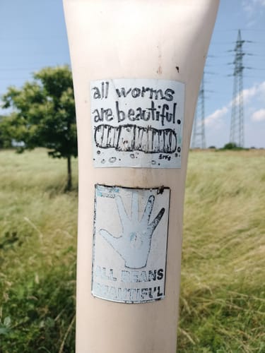 Rund um die Seen bei Pulheim