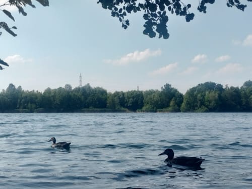 Rund um die Seen bei Pulheim