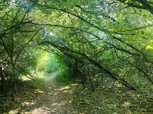 Rund um die Seen bei Pulheim