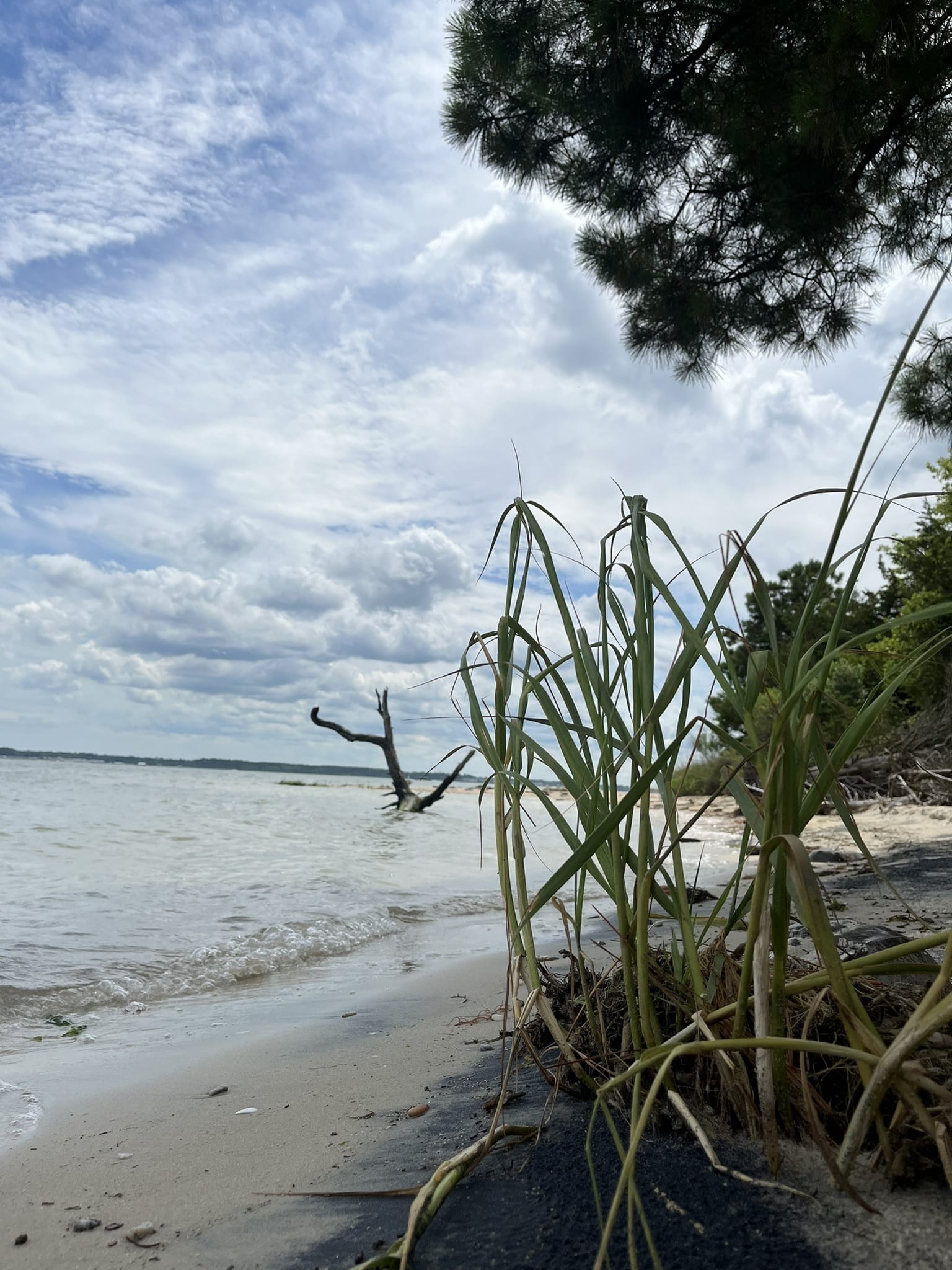 Marian r. okie memorial wildlife preserve