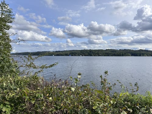 Niederense - Möhnesee