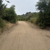 Whiting Ranch Trail, California - 1,841 Reviews, Map | AllTrails