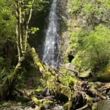 Explorer Falls, Washington - 729 Reviews, Map | AllTrails