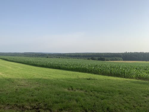 Ortswanderweg Pappenheim
