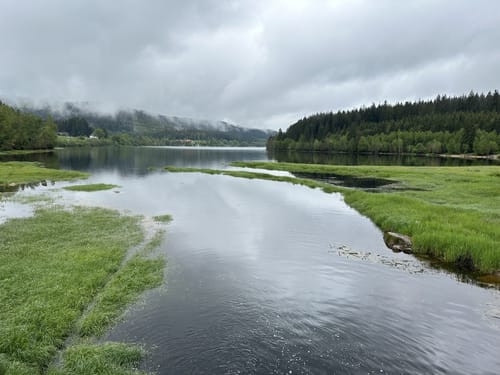Entlang des Schluchsee von Unteraha nach Unterkrummen